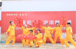 肥西县丰乐镇：“四季村晚”庆重阳